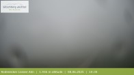 Archived image Webcam View around Rodenecker Lüsner Alm 09:00