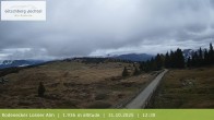 Archived image Webcam View around Rodenecker Lüsner Alm 11:00