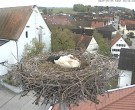 Archived image Webcam Stork Nest on top of the Town Hall of Jettingen-Scheppach 07:00