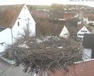 Archiv Foto Webcam Storchencam auf dem Rathaus Jettingen-Scheppach 07:00