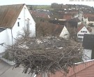 Archiv Foto Webcam Storchencam auf dem Rathaus Jettingen-Scheppach 11:00