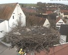 Archiv Foto Webcam Storchencam auf dem Rathaus Jettingen-Scheppach 13:00