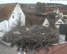 Archiv Foto Webcam Storchencam auf dem Rathaus Jettingen-Scheppach 15:00