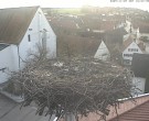 Archived image Webcam Stork Nest on top of the Town Hall of Jettingen-Scheppach 09:00