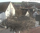 Archiv Foto Webcam Storchencam auf dem Rathaus Jettingen-Scheppach 13:00