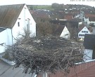 Archiv Foto Webcam Storchencam auf dem Rathaus Jettingen-Scheppach 15:00