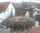 Archiv Foto Webcam Storchencam auf dem Rathaus Jettingen-Scheppach 07:00