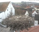 Archiv Foto Webcam Storchencam auf dem Rathaus Jettingen-Scheppach 09:00