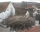 Archived image Webcam Stork Nest on top of the Town Hall of Jettingen-Scheppach 13:00