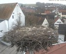 Archived image Webcam Stork Nest on top of the Town Hall of Jettingen-Scheppach 15:00