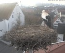 Archiv Foto Webcam Storchencam auf dem Rathaus Jettingen-Scheppach 07:00