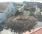 Archiv Foto Webcam Storchencam auf dem Rathaus Jettingen-Scheppach 09:00