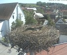 Archiv Foto Webcam Storchencam auf dem Rathaus Jettingen-Scheppach 13:00