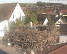 Archiv Foto Webcam Storchencam auf dem Rathaus Jettingen-Scheppach 17:00