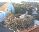 Archiv Foto Webcam Storchencam auf dem Rathaus Jettingen-Scheppach 05:00