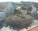 Archiv Foto Webcam Storchencam auf dem Rathaus Jettingen-Scheppach 09:00