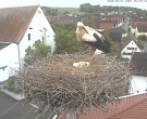 Archived image Webcam Stork Nest on top of the Town Hall of Jettingen-Scheppach 05:00