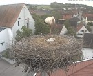 Archived image Webcam Stork Nest on top of the Town Hall of Jettingen-Scheppach 15:00