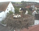 Archiv Foto Webcam Storchencam auf dem Rathaus Jettingen-Scheppach 09:00