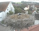 Archived image Webcam Stork Nest on top of the Town Hall of Jettingen-Scheppach 11:00