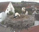 Archived image Webcam Stork Nest on top of the Town Hall of Jettingen-Scheppach 15:00