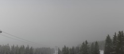 Archiv Foto Webcam Saalbach-Hinterglemm: Kohlmais 11:00