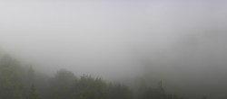 Archiv Foto Webcam Fuschlseeregion - Hintersee 11:00