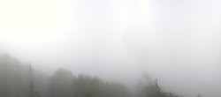 Archiv Foto Webcam Fuschlseeregion - Hintersee 08:00