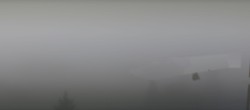 Archived image Webcam Bleßberg Mountain Near Sachsenbrunn 08:00