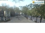 Archived image Webcam Fehmarn: View Market Place in Burg 15:00