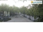 Archiv Foto Webcam Fehmarn: Marktplatz in Burg 19:00