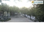 Archiv Foto Webcam Fehmarn: Marktplatz in Burg 03:00