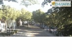 Archiv Foto Webcam Fehmarn: Marktplatz in Burg 06:00