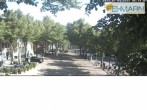 Archiv Foto Webcam Fehmarn: Marktplatz in Burg 07:00