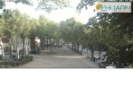Archiv Foto Webcam Fehmarn: Marktplatz in Burg 05:00