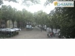 Archiv Foto Webcam Fehmarn: Marktplatz in Burg 16:00