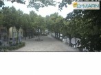 Archiv Foto Webcam Fehmarn: Marktplatz in Burg 20:00