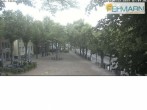 Archiv Foto Webcam Fehmarn: Marktplatz in Burg 07:00