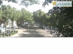 Archiv Foto Webcam Fehmarn: Marktplatz in Burg 08:00