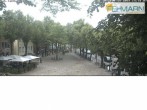 Archived image Webcam Fehmarn: View Market Place in Burg 13:00