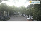 Archived image Webcam Fehmarn: View Market Place in Burg 19:00