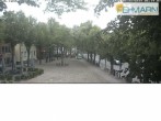 Archiv Foto Webcam Fehmarn: Marktplatz in Burg 05:00