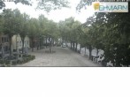 Archiv Foto Webcam Fehmarn: Marktplatz in Burg 06:00