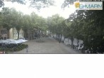 Archiv Foto Webcam Fehmarn: Marktplatz in Burg 09:00