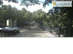 Archiv Foto Webcam Fehmarn: Marktplatz in Burg 15:00