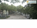 Archiv Foto Webcam Fehmarn: Marktplatz in Burg 06:00