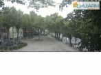 Archiv Foto Webcam Fehmarn: Marktplatz in Burg 05:00