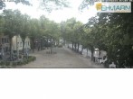 Archiv Foto Webcam Fehmarn: Marktplatz in Burg 06:00
