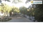 Archiv Foto Webcam Fehmarn: Marktplatz in Burg 06:00