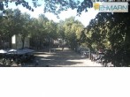 Archiv Foto Webcam Fehmarn: Marktplatz in Burg 15:00